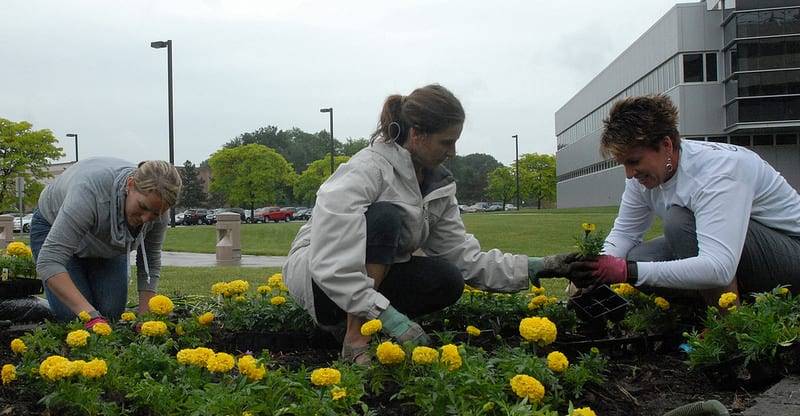 community landscaping