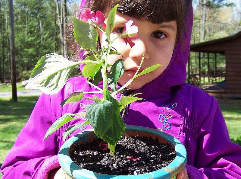 community gardening