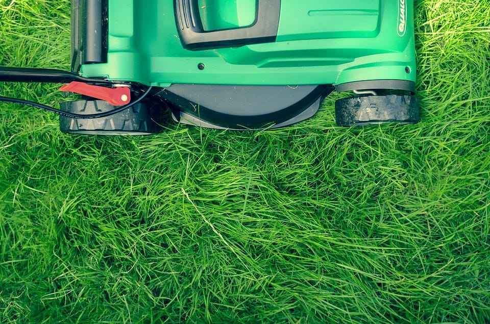 right lawn care tools